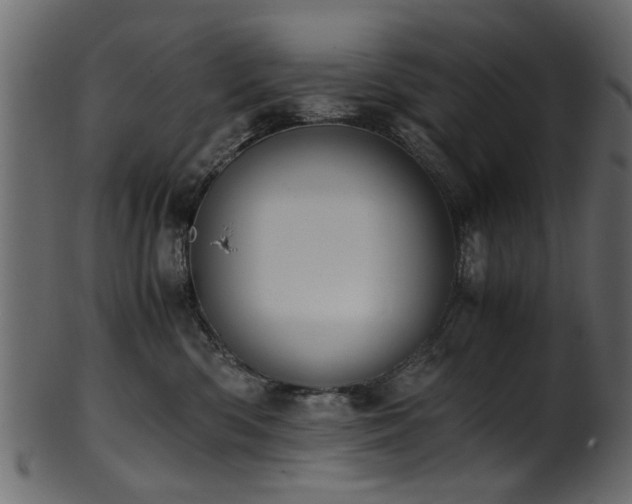 X0000102030426200807181354