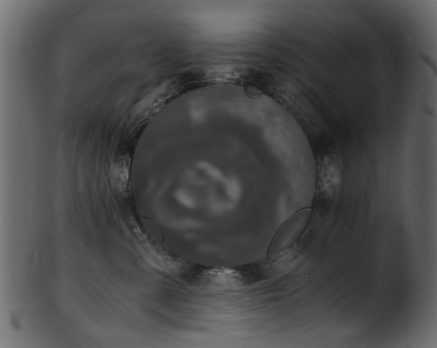 X0000102030427200807181354