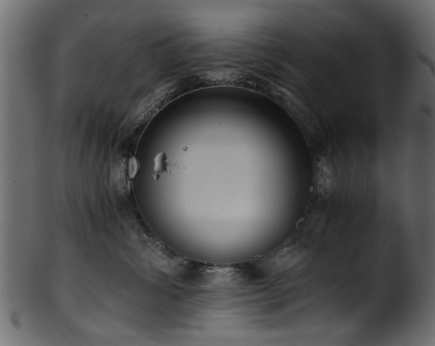 X0000102030428200807181354