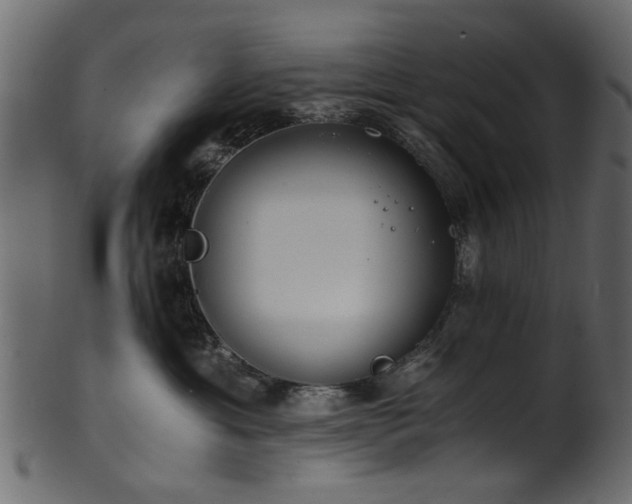 X0000102030429200807181354