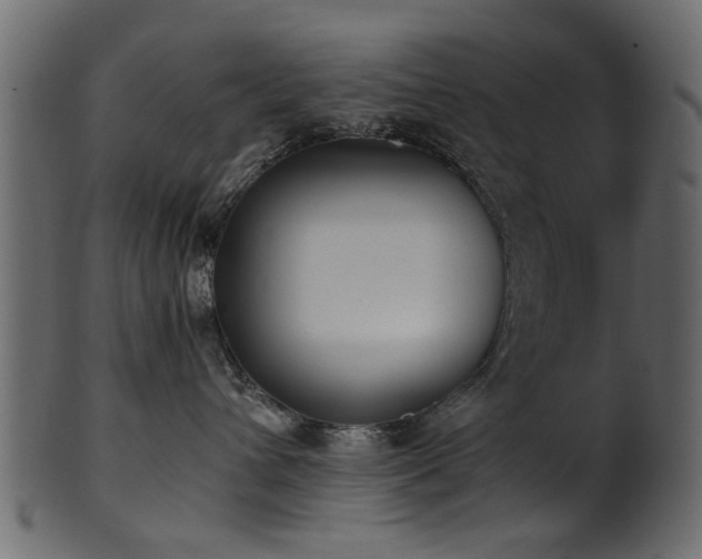 X0000102030432200807181354