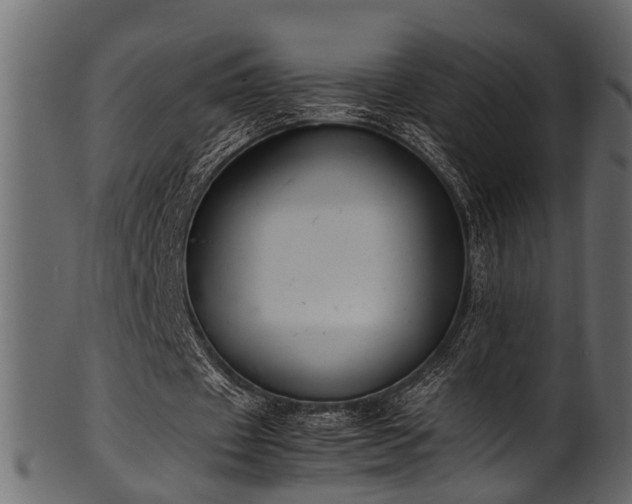 X0000102030433200807181354