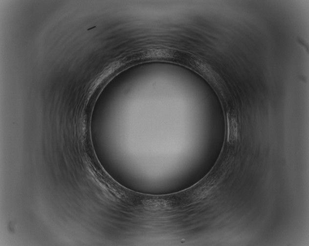 X0000102030435200807181354