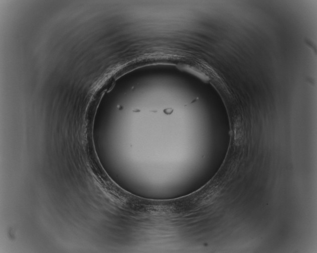 X0000102030436200807181354