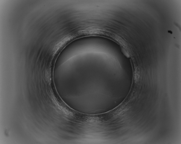 X0000102030438200807181354