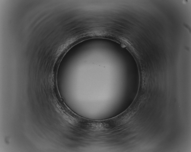 X0000102030439200807181354