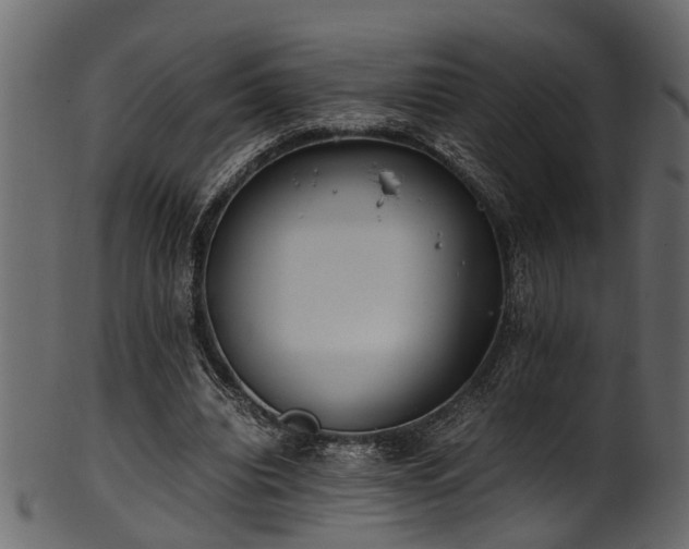 X0000102030440200807181354