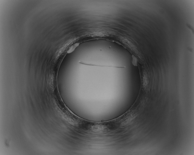 X0000102030444200807181354