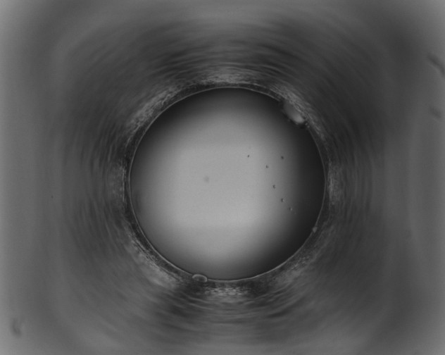 X0000102030445200807181354