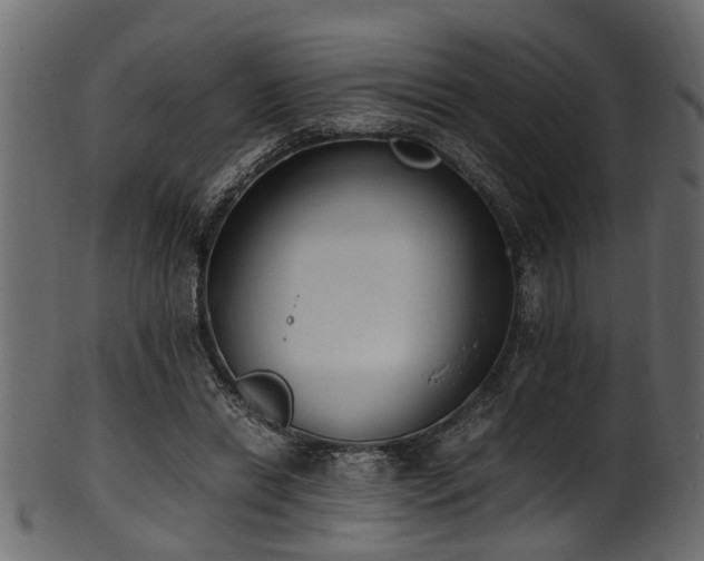 X0000102030446200807181354