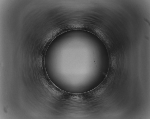 X0000102030447200807181354