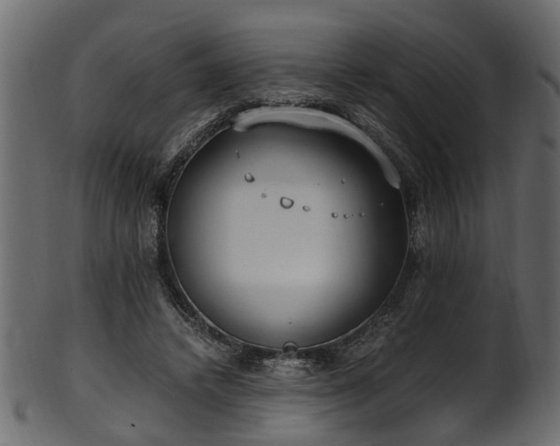 X0000102030448200807181354