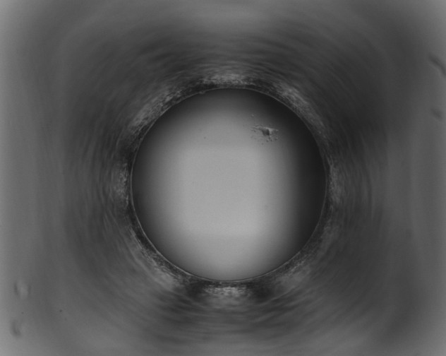 X0000102030449200807181354