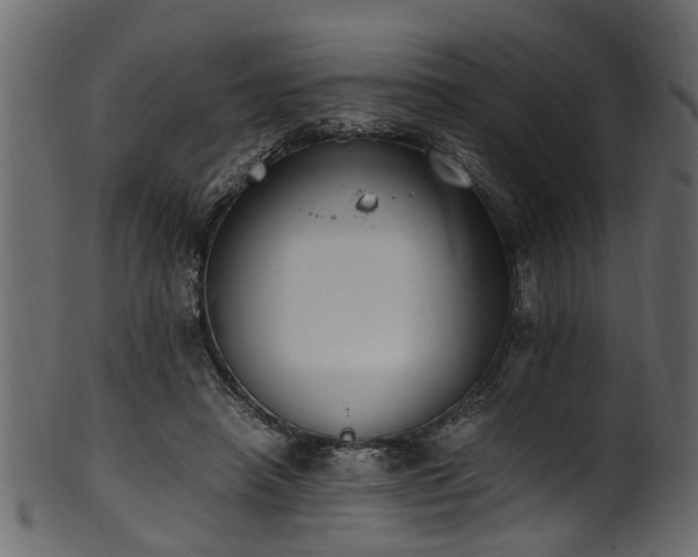 X0000102030450200807181354