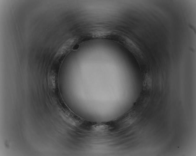 X0000102030452200807181354