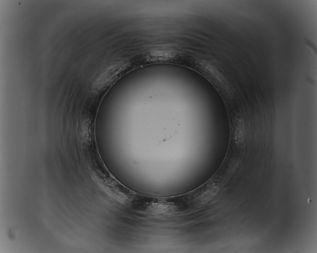 X0000102030455200807181354