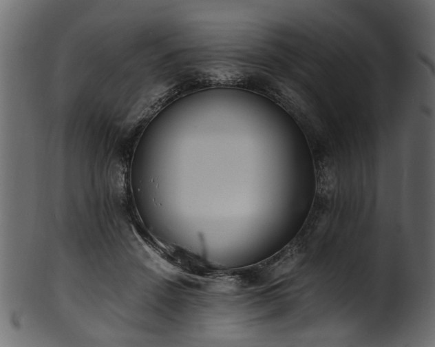 X0000102030456200807181354