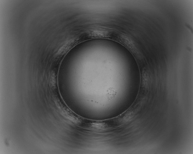 X0000102030457200807181354