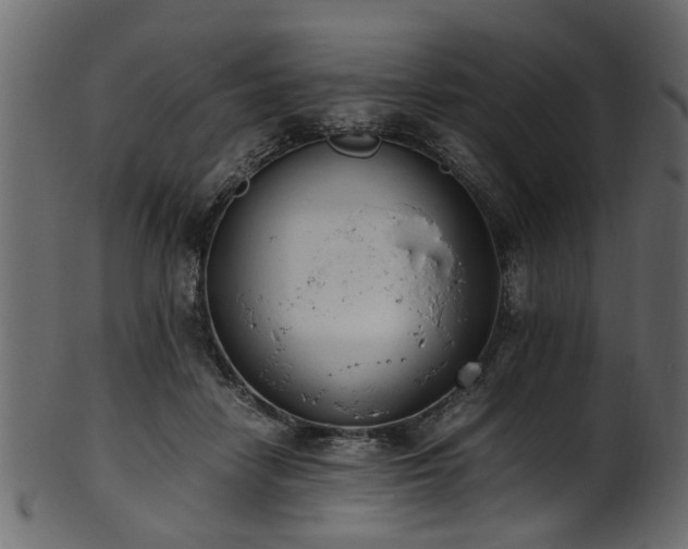 X0000102030458200807181354