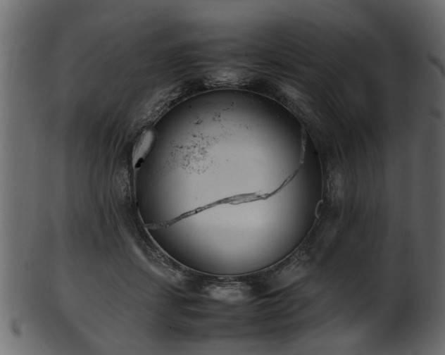 X0000102030459200807181354