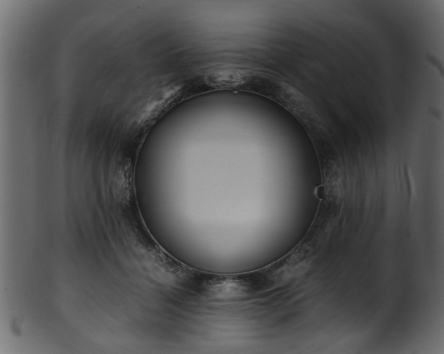 X0000102030460200807181354