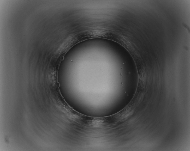 X0000102030462200807181354