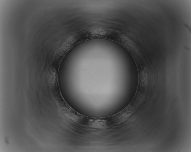 X0000102030463200807181354