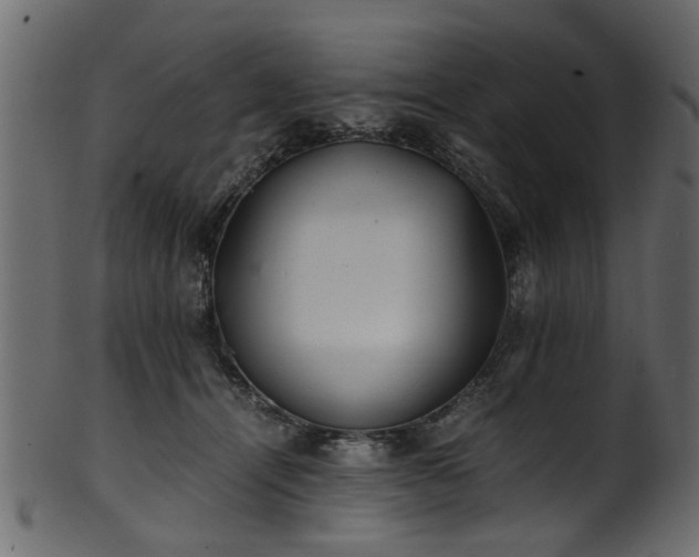 X0000102030464200807181354