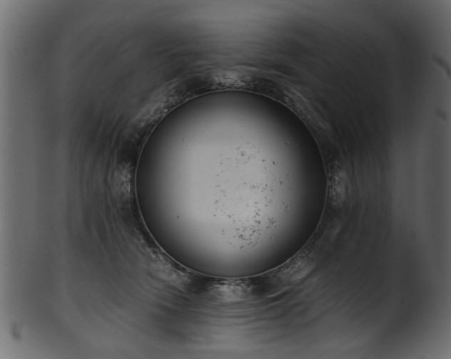 X0000102030466200807181354