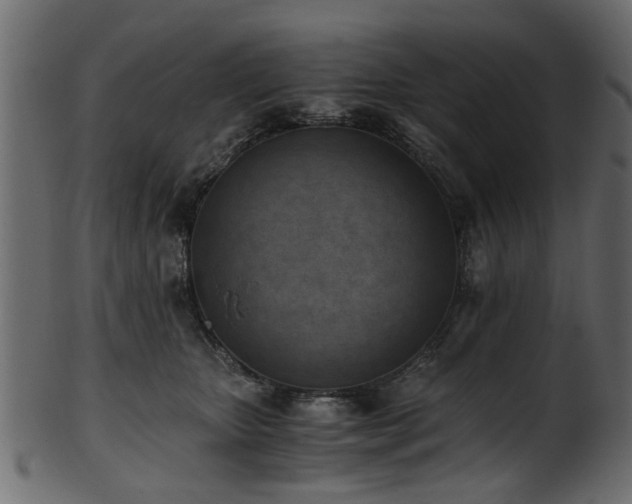 X0000102030467200807181354