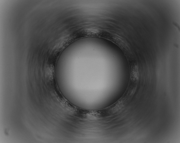 X0000102030468200807181354