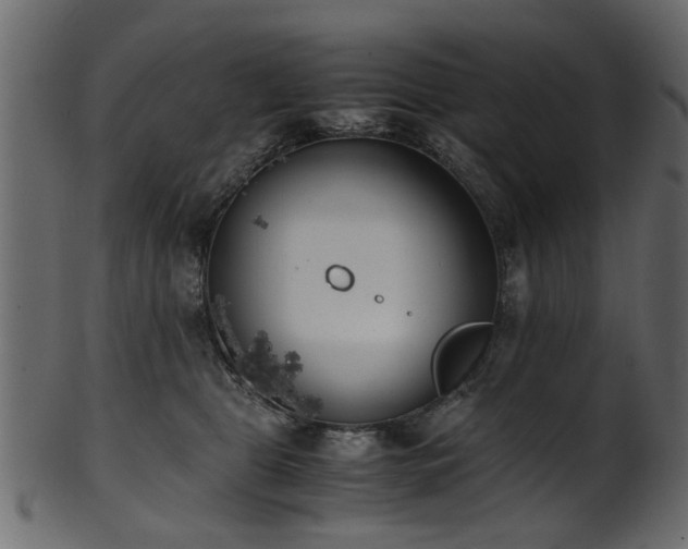 X0000102030469200807181354