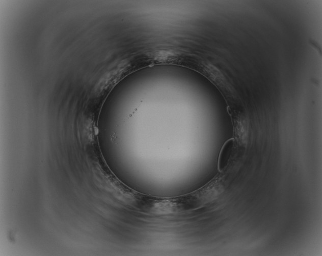 X0000102030470200807181354