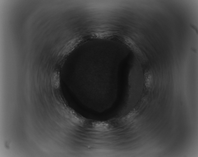 X0000102030471200807181354