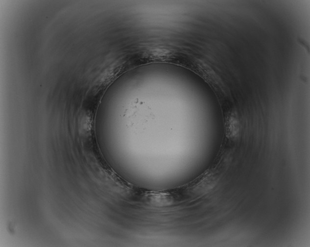 X0000102030472200807181354