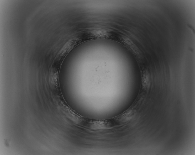 X0000102030473200807181354