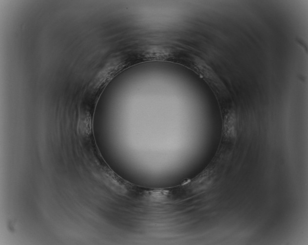 X0000102030474200807181354