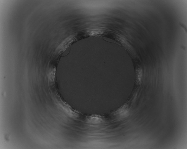 X0000102030475200807181354