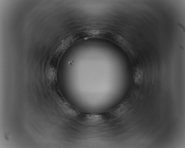 X0000102030476200807181354