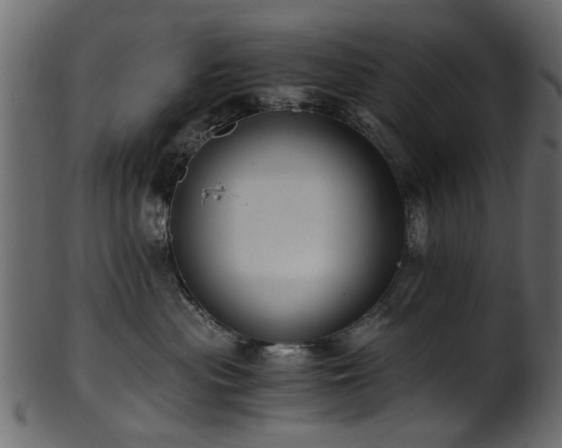 X0000102030477200807181354