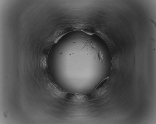 X0000102030479200807181354