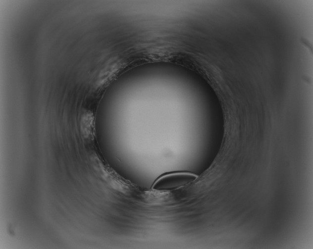 X0000102030480200807181354