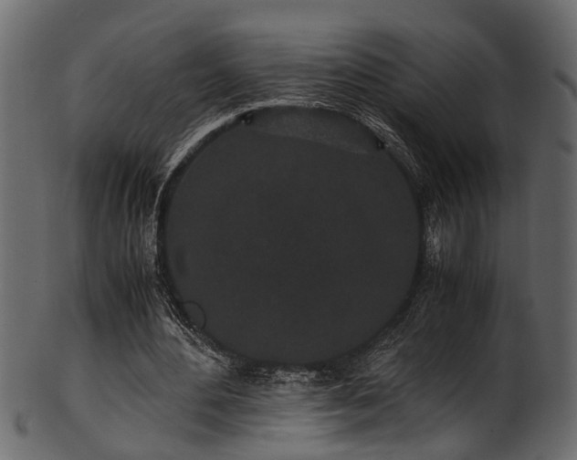 X0000102030484200807181354