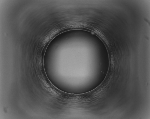 X0000102030485200807181354