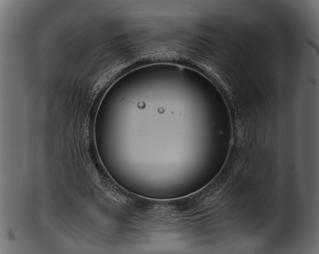 X0000102030487200807181353