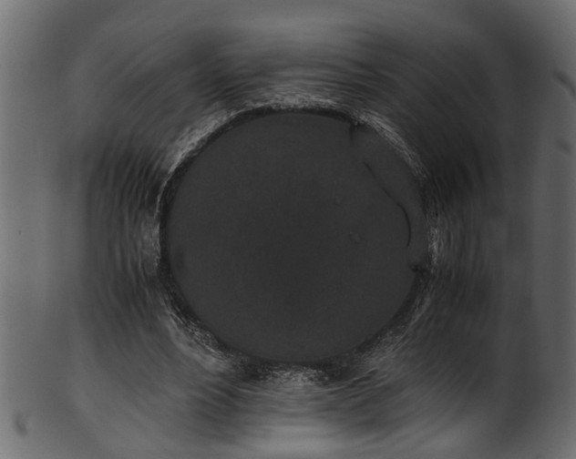 X0000102030488200807181353