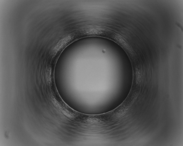 X0000102030490200807181353