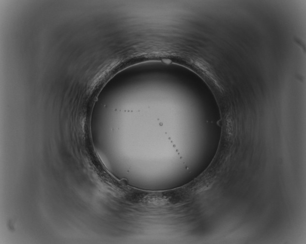 X0000102030491200807181353