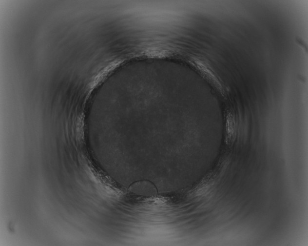 X0000102030492200807181353