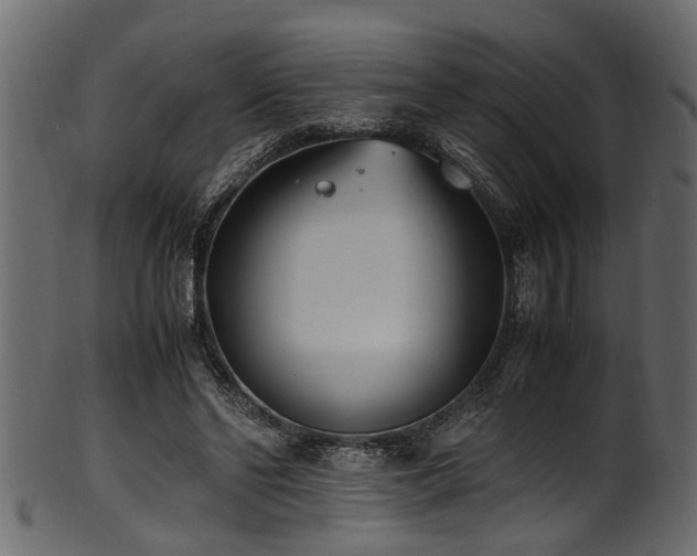 X0000102030494200807181353